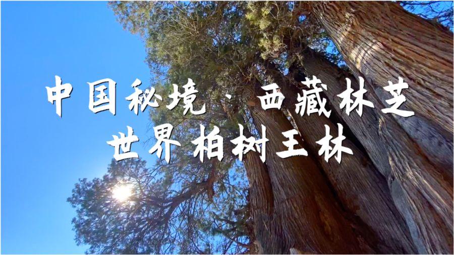 【楚天评】东湖评论：厚植为民情怀，书写荆楚民生“高分答卷”